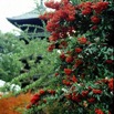 Kyoto1_15.jpg